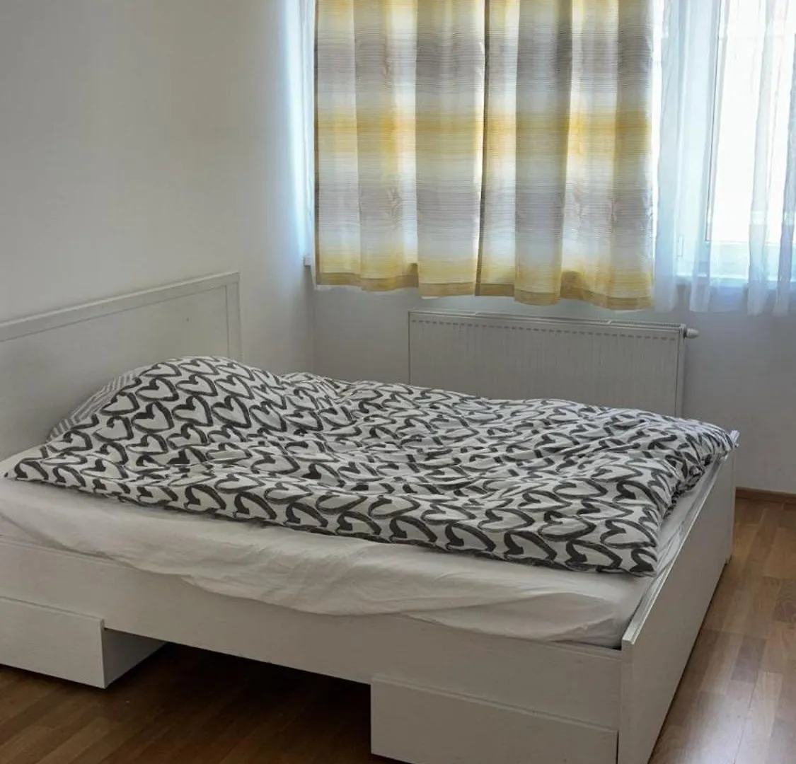 Apartment Two Double Bedrooms In Center Vienna Austria