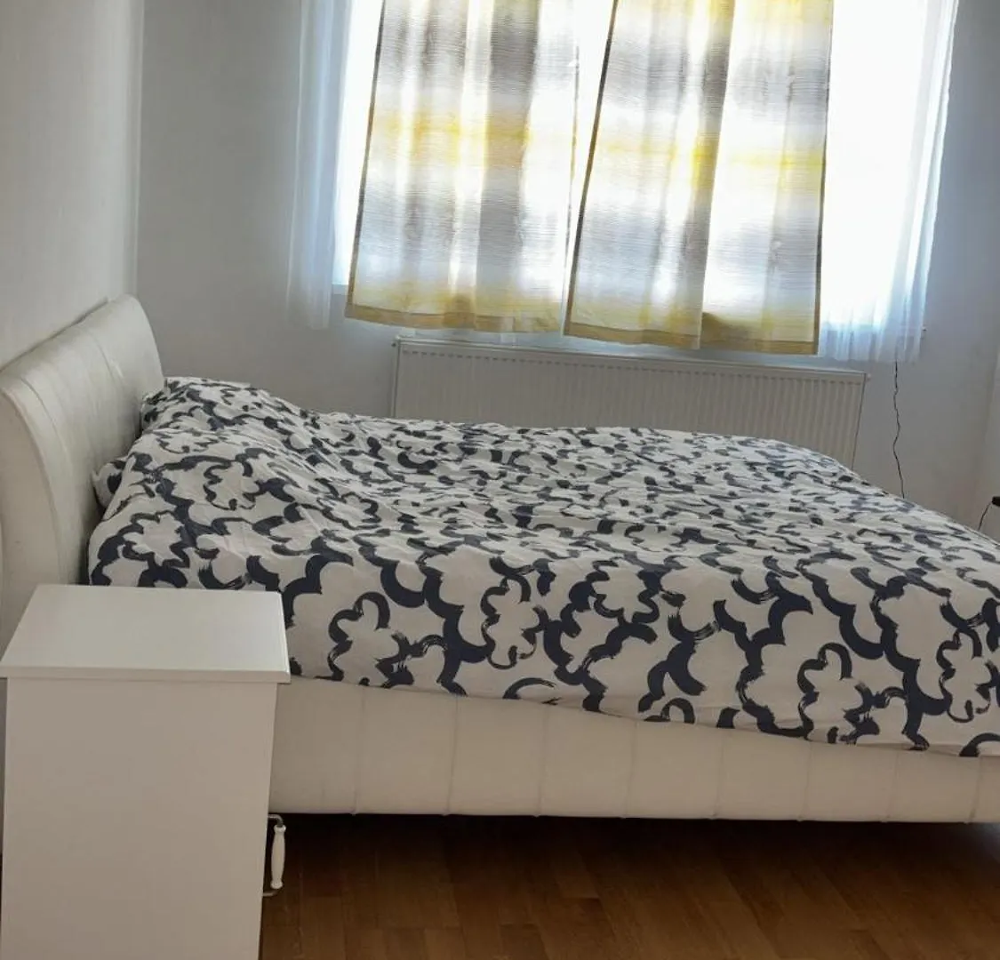 Apartment Two Double Bedrooms In Center Vienna Austria