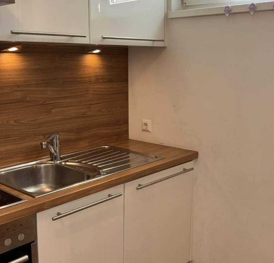 Two Double Bedrooms In Center Vienna